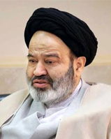 حجت الاسلام سید ابو الحسن نواب