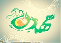 (٢٩١) مهدي