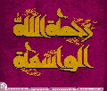 (٣٢٢) رحمة الله الواسعة