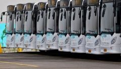 ايفاد ٩٦٠ حافلة ايرانية الى العراق لنقل زوار الاربعينية